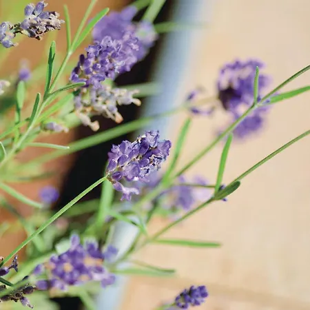 Apartament Two-bedroom In *